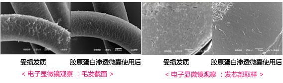 当前图片注释